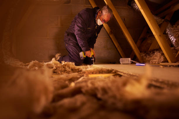 Best Best Insulation Companies  in West Branch, IA
